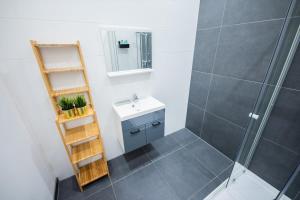 鹿特丹Warm 2 Bedroom Serviced Apartment 59m2 -LK21-的一间带水槽和淋浴的浴室