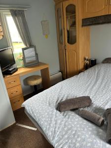 英戈尔德梅尔斯The Topaz Caravan HF12的一间卧室配有一张床、一张书桌和一台电视