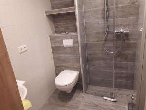 博尔兴斯塔德特瑞德潘森酒店的一间带卫生间和淋浴的浴室