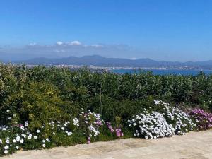弗雷瑞斯Stunning Cote d'Azur Villa - Rives d'Or的鲜花花园,享有水景