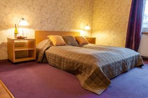 罗兹旅行之家酒店的一间卧室,卧室内配有一张大床