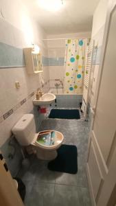 TrávnicaHannaH - Relax dom pod orechom Apartman2的浴室配有卫生间、盥洗盆和淋浴。