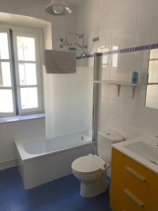 比利亚维西奥萨Apartamentos Hevia的浴室配有卫生间、淋浴和盥洗盆。
