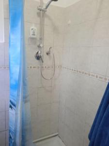诺瓦拉La casa di Lucia Appartamento的浴室设有蓝色淋浴帘和淋浴