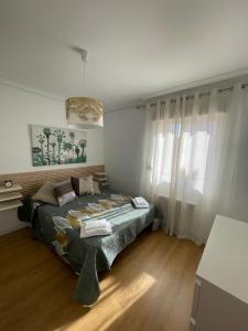 阿尔巴塞特Precioso alojamiento céntrico con garaje, terraza y aire acondicionado的一间卧室设有一张床和一个大窗户