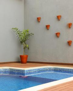 圣若昂-巴蒂斯塔-杜格罗里亚Pouso Mineiro的游泳池旁的盆栽植物