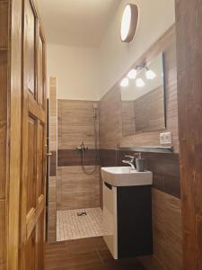 捷克布杰约维采Apartmán Sirius B的一间带水槽和淋浴的浴室