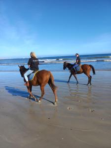 帕特诺斯特Nova Vida的两人在海滩上骑马