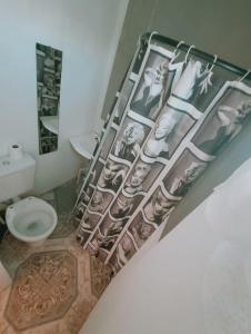 里奥加耶戈斯Moni Moni hab的一间带卫生间和淋浴帘的浴室