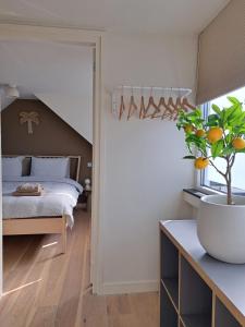 海边的艾格蒙特Bundi Beach的一间卧室配有一张床和盆栽植物