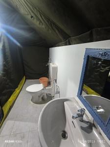 努布拉Tyakshi Summer Camp的浴室配有白色水槽和卫生间。