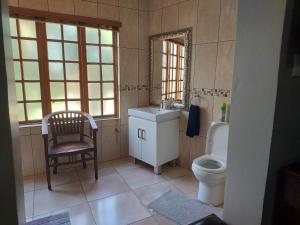 比勒陀利亚Garrett Guest House的一间带卫生间、水槽和镜子的浴室