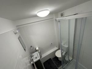 科尔切斯特Beautiful 1-Bed Apartment in Colchester的一间带卫生间和玻璃淋浴间的浴室
