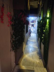 瓜廖尔Hotal Balaji的一条在建筑一侧种植植物的小巷