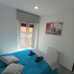 巴古尔Apartament al cor de Begur的一间卧室设有蓝色的床和窗户。