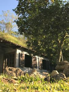 迈里波朗Abrigo Cantareira的草屋顶和树屋