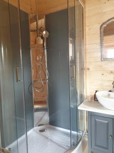萨维尔纳Le Cottage OneHeart的一个带水槽的玻璃淋浴间
