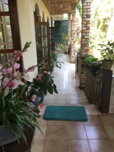 加姆波勒Maliga Inn的一条种植了盆栽植物和绿色地毯的走廊