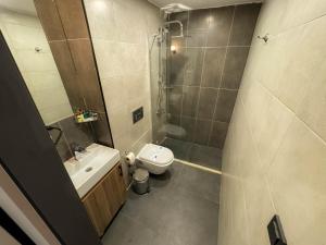 伊斯坦布尔Le Port Karaköy的浴室配有卫生间水槽和淋浴。