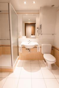布永瑞拉斯拿破仑III酒店的一间带水槽、卫生间和淋浴的浴室