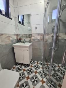 Къща за гости Софаш的带淋浴和盥洗盆的浴室