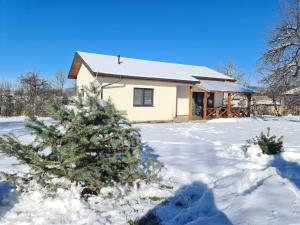 Къща за гости Софаш的雪中有一棵圣诞树的房子
