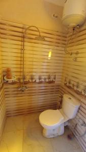 锡瓦Nubian Bayt Ward in Siwa的一间带卫生间和淋浴的浴室
