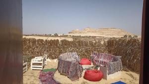 锡瓦Nubian Bayt Ward in Siwa的两把椅子坐在田野旁的沙子里