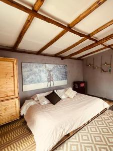 佛罗里达布兰卡Finca Montmagica的一间卧室配有一张壁画床