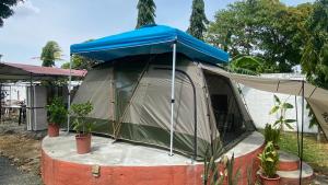 查梅Dharma Casa Holistica, Vivero, Yoga y Retiros的院子里的帐篷,有蓝色的天篷