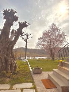 普埃尼亚戈Holiday Home Sovenigo的楼梯旁的树雕像