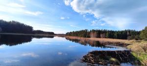 ZdówRanczo Czerwony Młyn的享有树木繁茂的湖泊和云天美景