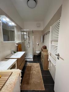 松博特海伊Bonvenon的一间带两个盥洗盆、淋浴和卫生间的浴室