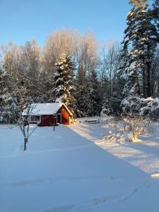 诺尔泰利耶Egen stuga med delat badrum的雪中的一个红色小屋,有树