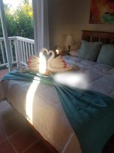 圣佩德罗Sapphire Beach Condo的两个天鹅躺在卧室的床上