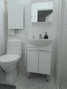 坦佩雷City Apartment的白色的浴室设有卫生间和水槽。