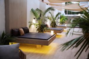 巴马科BLU Apartments的带沙发和一些植物的客厅