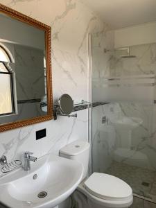 克萨尔特南戈Hotel y Restaurante Castillo de los Altos的一间带水槽、卫生间和镜子的浴室