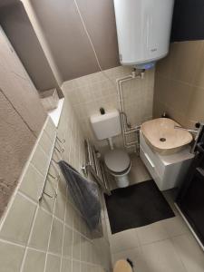 密古雷休治Morrison Apartments的一间带卫生间和水槽的小浴室