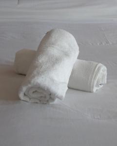 圣萨尔瓦多德朱Hotel Ery Noa的睡床上的卫生纸卷