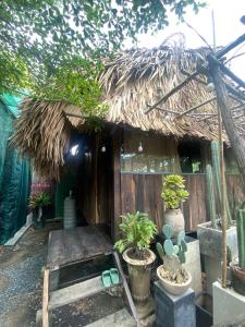胡志明市Cactos Bar & Homestay的茅草屋顶和盆栽小房子
