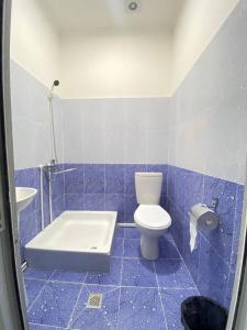 撒马尔罕Family Guest House的蓝色的浴室设有卫生间和水槽
