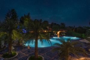 兰纳加Resort De Coracao - Corbett , Uttarakhand的棕榈树游泳池的夜景