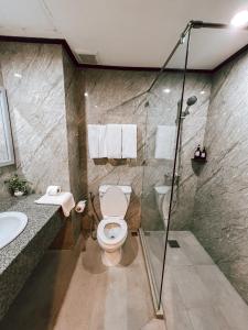 万象Le Charme Vientiane Hotel的带淋浴、卫生间和盥洗盆的浴室