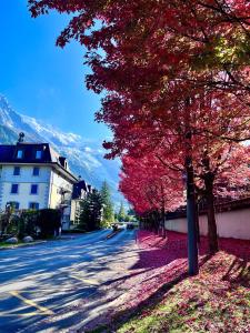 夏蒙尼-勃朗峰Chalet la Pagode, vue Mont-Blanc et jardin privé的街道边有红叶的树