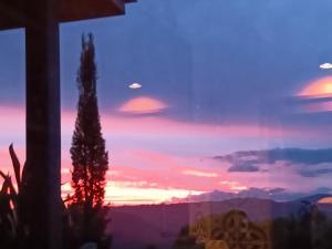 梅普尔顿Mapleton Peaceful Provence BnB的从一扇窗户欣赏日落美景