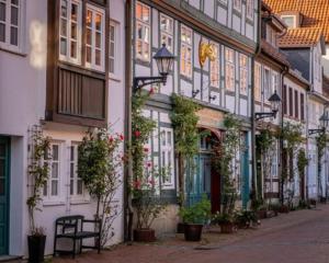希尔德斯海姆Moritzberg-Lodge的街上一排鲜花盛开的房屋