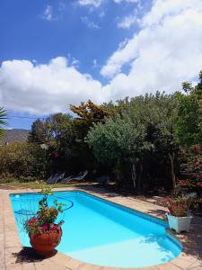 开普敦Lavender Cottage的庭院里种植着植物的蓝色游泳池