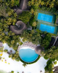 马米基里LUX* South Ari Atoll Resort & Villas的享有棕榈树度假村泳池的顶部景致