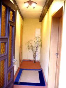 Ferienhaus Schöne的走廊上有一扇门,地板上种植了植物